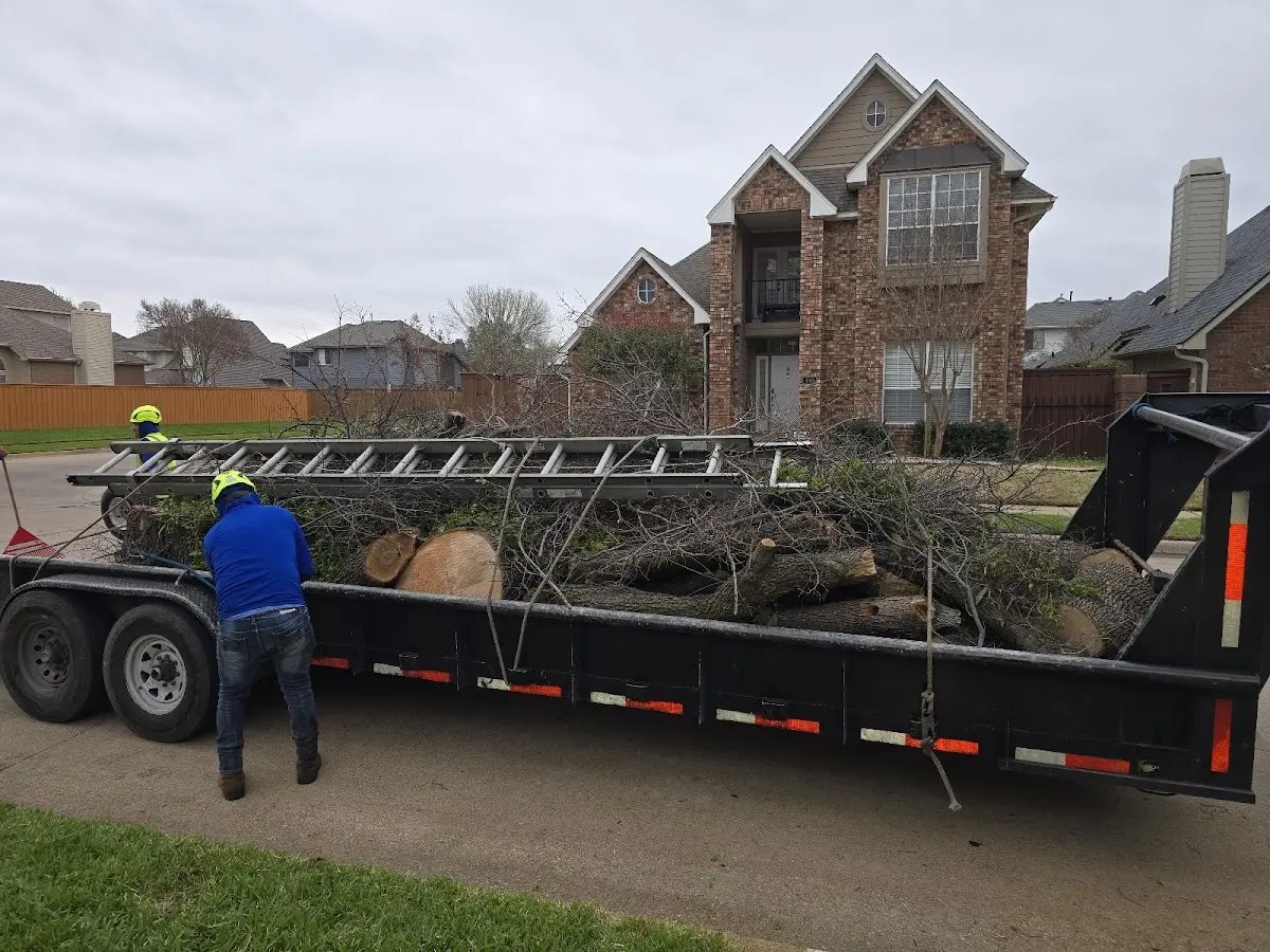 Expert Tree Fertilization with proper safety equipment in Somerville